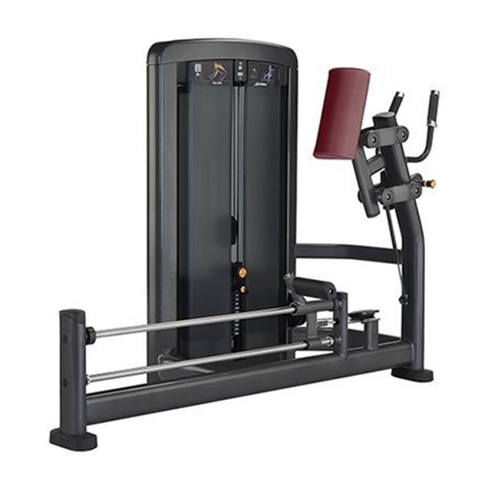 ماشین گلوت باسن SIGMA - R21