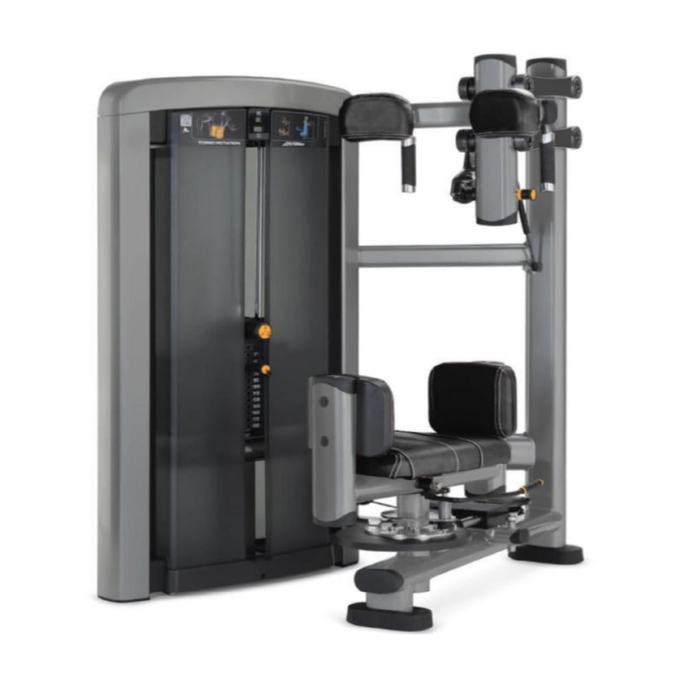 ماشین تورسو چرخشی از پهلو SIGMA - R19